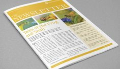 Free Indesign Newsletter Template: Design No. 2 | Free within Business Plan Template Indesign