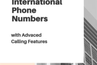 International Phone Numbers With Advanced Calling Features inside Fresh WordPress Business Directory Template