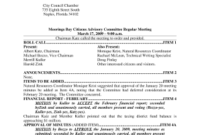 Meeting Notes Template Forms - Fillable &amp;amp; Printable in Town Hall Meeting Agenda Template
