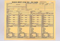 Nasco'S Beef Cow Record Cards | Beef Cow, Cow, Farm Business for New Ranch Business Plan Template