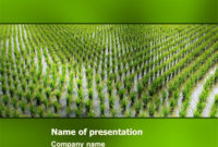 Rice Paddies Brochure Template Design And Layout, Download within Fresh Agriculture Business Plan Template Free