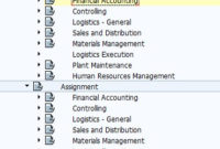 Sap Fico Central: Financial Enterprise Structure for Data Warehouse Business Requirements Template