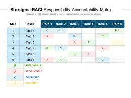 Six Sigma Raci Responsibility Accountability Matrix intended for Six Sigma Meeting Agenda Template