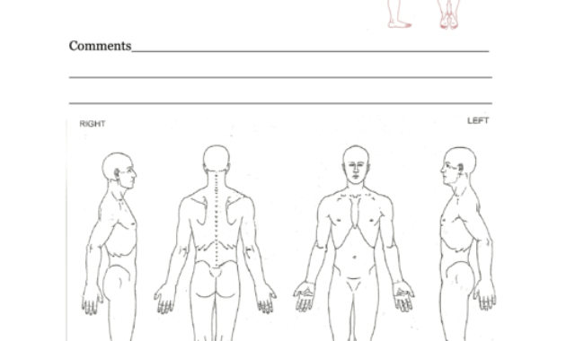 33 Body Pain Charts Free To Download In Pdf regarding Blank Body Map Template