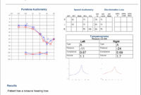 Audiology And Medical Report Writer | Blueprint Solutions inside Blank Audiogram Template Download