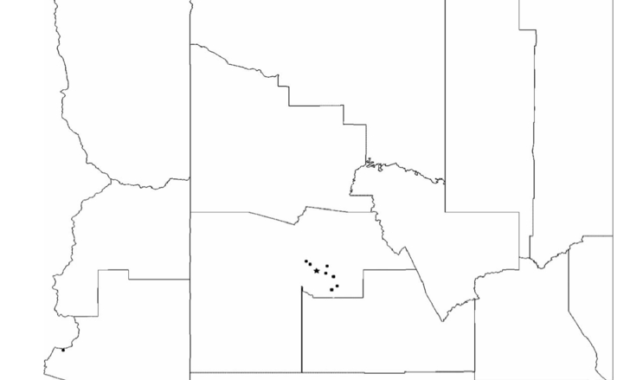 Blank Arizona City Map Free Download regarding Blank City Map Template