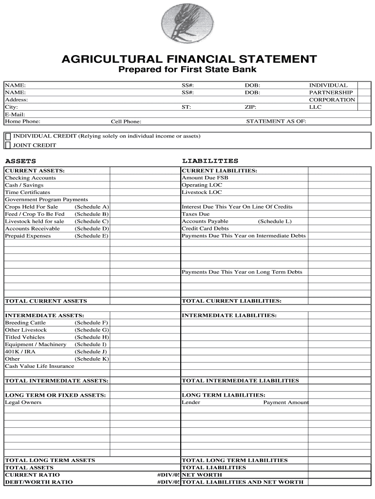 Blank Personal Financial Statement Template - Sample intended for Blank Personal Financial Statement Template