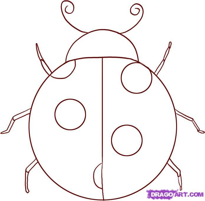 Free Ladybug Drawing, Download Free Ladybug Drawing Png with Blank Ladybug Template