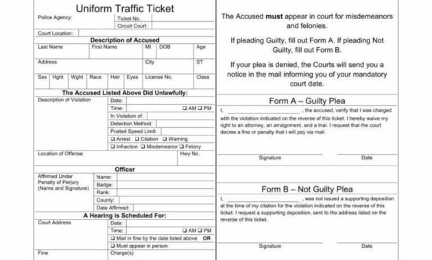 State Of Michigan Uniform Law Citation - Fill Online With with Blank Speeding Ticket Template